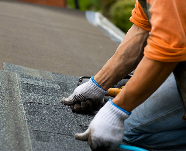Quick and Trustworthy Emergency Roof Repair Services in Warsaw, KY