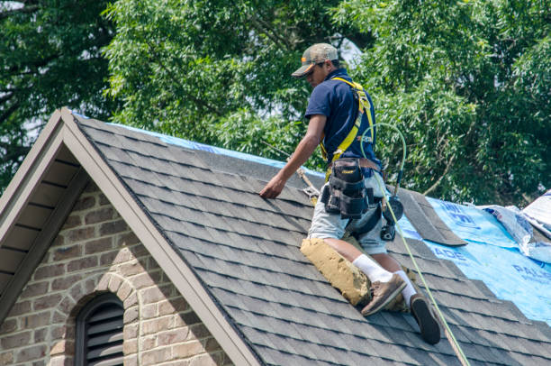 Best Roof Repair Services  in Warsaw, KY